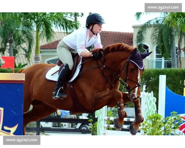 现实版 “马术大富翁” 亮相赛场 观众玩着学马术